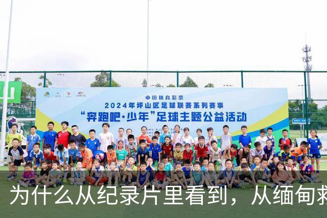 为什么从纪录片里看到，从缅甸救回来的受害者几乎全是男性？因为被骗进园区的女孩逃脱率基本为零