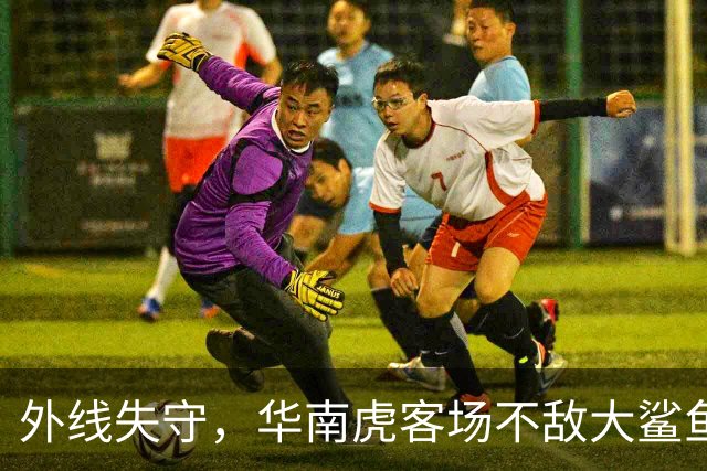 外线失守，华南虎客场不敌大鲨鱼