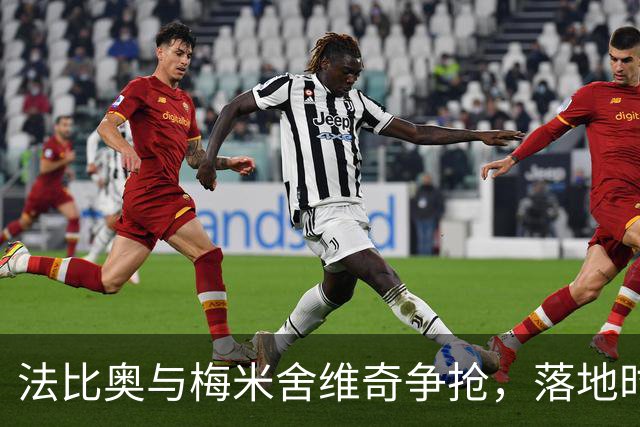 法比奥与梅米舍维奇争抢，落地时脚踝受伤