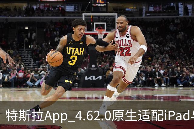 特斯拉App 4.62.0原生适配iPad与iPhone Duo