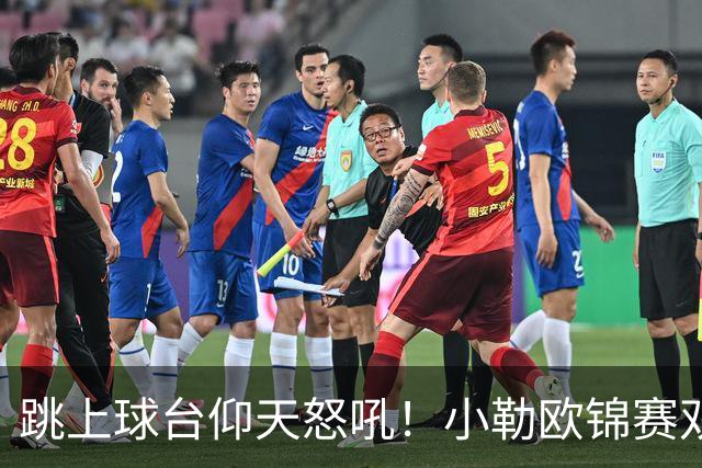 跳上球台仰天怒吼！小勒欧锦赛双冠创6纪录 一门双杰书写法乒新历史