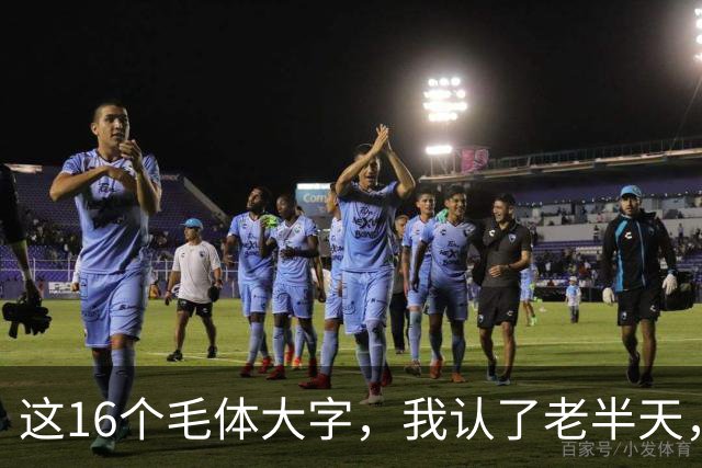 这16个毛体大字，我认了老半天，有5个愣是没敢念！全认出来的算你狠！小字草书跟大字草书，笔法能一样吗？